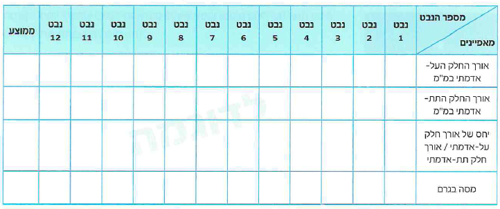 (בספר תמונה 1)